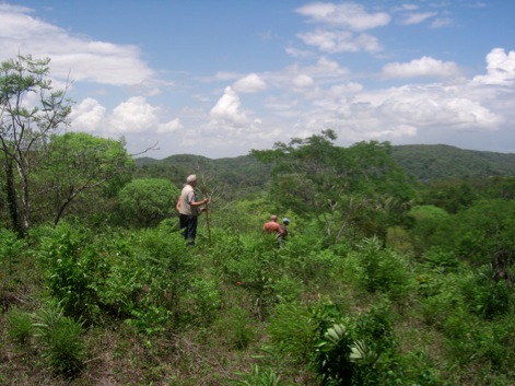 BelizeBuildingSite3